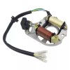 Soarider 2 Coil Stator 110cc for Taotao Quad Go Cart
