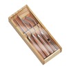 Zassenhaus Steak Cutlery Set of 2 with Pakka Wood Handles,