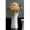 Sandra Rich Porzellanvase Tulip weiß konkav 22 cm hoch Ø
