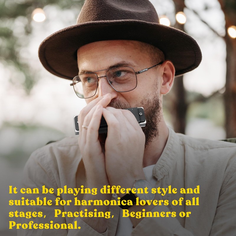 EASTROCK Blues Harmonica with 10 Holes C Glazed Black