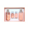 Care Zone 케어존 닥터솔루션 아큐어 클래리파잉 토너에멀젼기획 Carezone Dr. Solution Acur Clean Clarifying Toner Emulsion Set