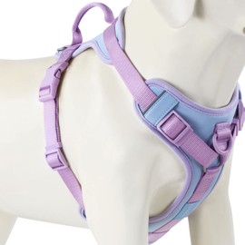 Wolfone No Pull Dog Harness Adjustable Soft Padded Pet Vest with Control Handle Adorable Daily Harness for Dogs（Spun Sugar M）