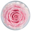 Sunia Eternal Rose Angel Gifts for Women Christmas, Eternal Rose