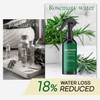 Rosemary Water Spray for Hair Growth, Rosemary Hair Growth Scalp