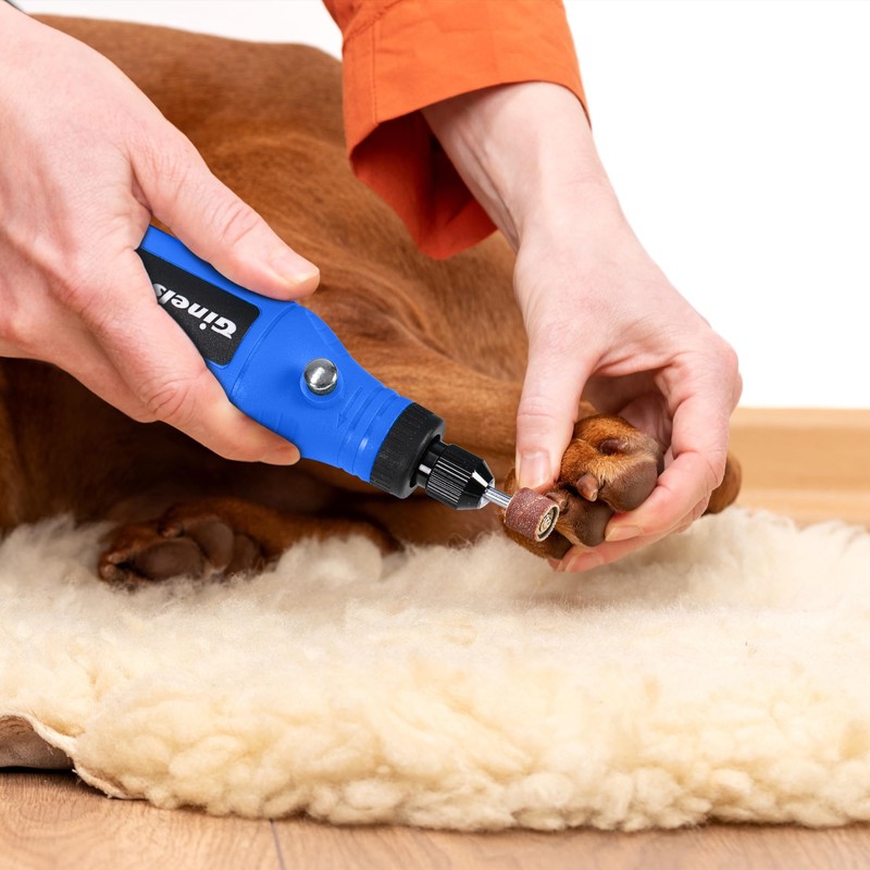 GINELSON Cordless Rotary Tool, 5 Variable Speed Mini Rotary Tool