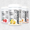 Onul-ui Bodi BCAA드래곤 필수 아미노산 보충제 500g x 2통 +보틀증정