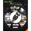 AGLINT T10 LED White Canceller, CANBUS High Brightness, 9 Pieces,