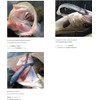 Coreman Alkaline Shad 3.5 inches (90 mm) #012 Pink Pearl