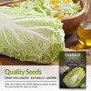 Survival Garden Seeds - Michihili Napa/Nappa Cabbage Seed for Planting