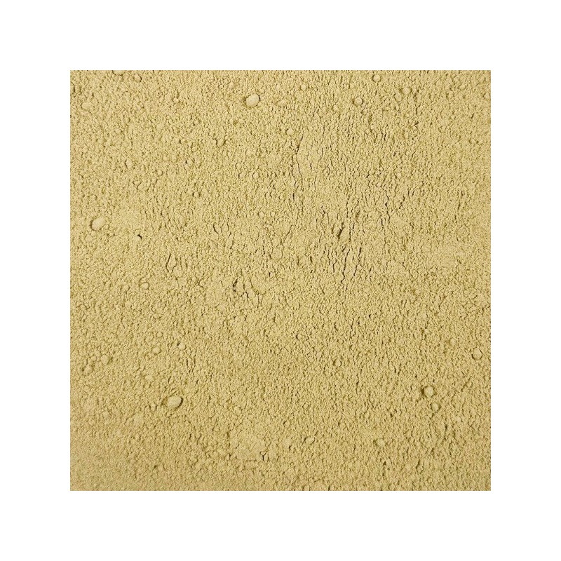Oh Herb 수입 여주분말 여주가루 500g Imported Bitter Melon Powder