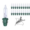 GE 20x Mini 2.5 Volt Clear Christmas Light Bulbs Replacement