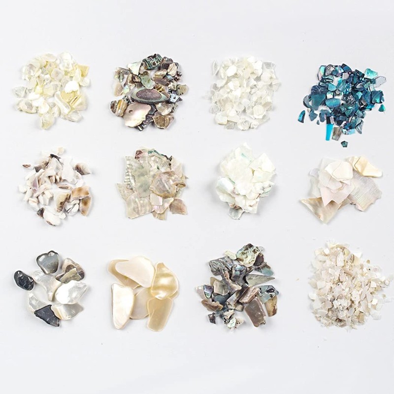 HappyHome Nail Parts, Seashell Tips, 12 Types, Nail Art, Shelf