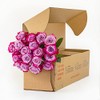 BloomsyBox Count Your Blushes - 18 Magenta Roses, Long Lasting