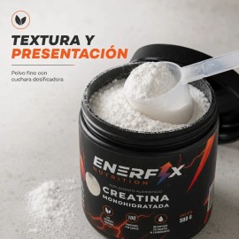Creatina Monohidratada Enerfix Nutrition 500g En Polvo Con Scoop Dosificador 100 Servicios Pre Entreno Gym Workout Suplemento Deportivo Para Hombre Mu