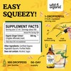 Wild & Organic Ginger Root Extract Drops - Immune &