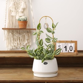 Ceiner 2PCS Small Plant Gold Trellis Indoor, Mini Metal Houseplant Decor Support for Potted Ivy Vine, Boho Garden Decorative Pot Climber with Agate for Climbing Hoya Pothos Philodendron Gift