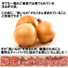 Healthy Company Japanese Onion Skin Tea 0.07 oz (2 g)