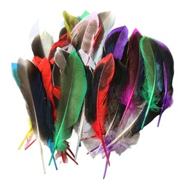 Pack of 50 Colourful Feathers for Crafts Feather for Crafts Craft Feathers Feathers for Hats Goose Feathers for DIY Dream Catcher Carnival Decorations/Hat/Vase/Mask, Fluffy & Soft