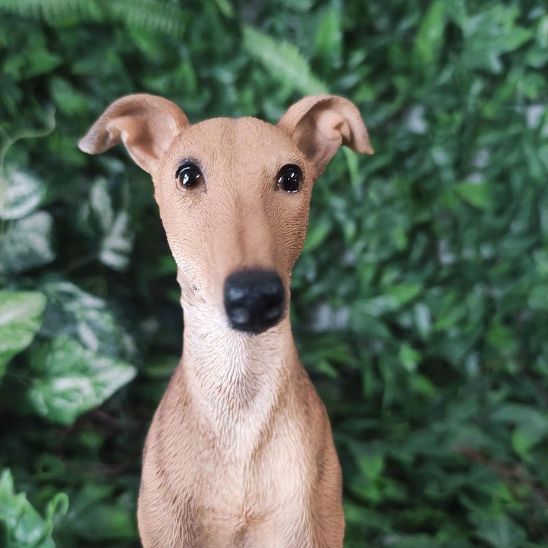 Vivid Arts - Whippet - XRL-WHIP-D