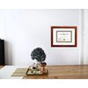 Creative Picture Frames 10x12 Walnut Finish Diploma Frame with White