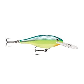 Shad Rap 05 Caribbean Shad