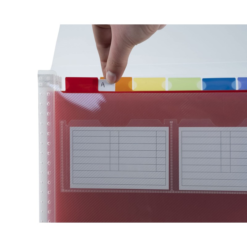 Exacompta - Ref 55798E - Crystal Vertical Multipart Expanding Case