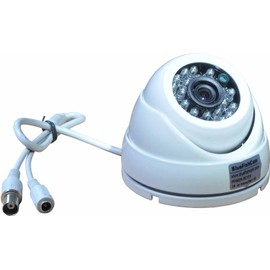 BlueFishCam Indoor Dome CCTV Camera Wide Angle Lens 3.6mm CMOS 1000TVL 24 LED Infrared Color with IR-Cut Motion Detection Security Camera