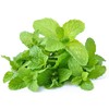 Rani Fresh Mint (Pudina) Leaves 2oz - 4oz,Pack of 2