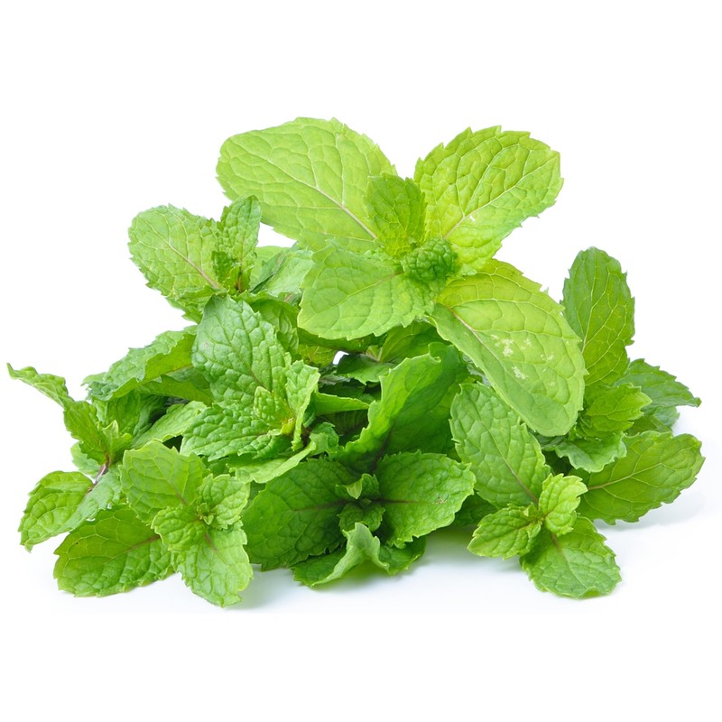 Rani Fresh Mint (Pudina) Leaves 2oz - 4oz,Pack of 2