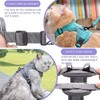 Arnés para Gatos con Correa, 150 cm, Correa para Gatos