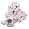 The Seashell Company Small Barnacle Cluster Aquarium and Terrarium Ornament