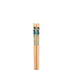 Wakasa Lacquer 264253 Children's Chopsticks, Shovel Car, 6.5 inches (16.5