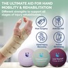 MindPanda Therapy Stress Balls For Adults - Expertly Designed For
