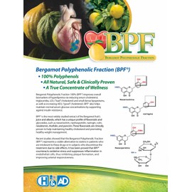 Organic Citrus Bergamot Extract - 60 Capsules - High Strength 38% Bergamot Polyphenols - 500mg - Clinically Studied BPF® - UK Made Supplement - Zero Additives - GMP Standards - Vegan