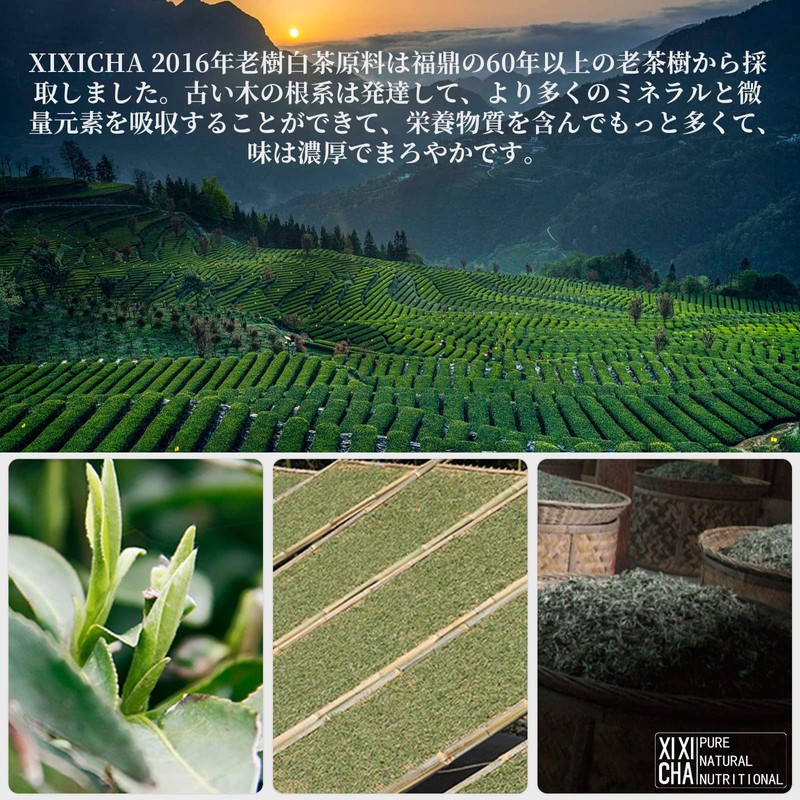 XIXICHA White Tea, White Tea Mochi, 10.6 oz (300 g),