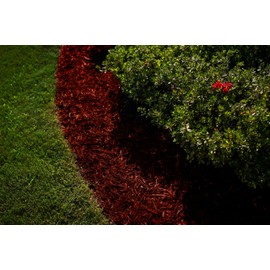 COLORBACK Red Mulch Dye, 3,200 Square Feet Coverage – Mulch Colorant for Landscaping & Garden Beds, Wood Mulch Dye, Mulch Color Restorer & Playground Bark Mulch, Eco-Friendly Mulch Paint – 1-Quart