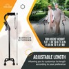 VIVA CARE Walking Cane with 4 Prongs & Extra Handle
