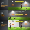 papasbox 100 W LED Spotlight with Motion Sensor Outdoor Light