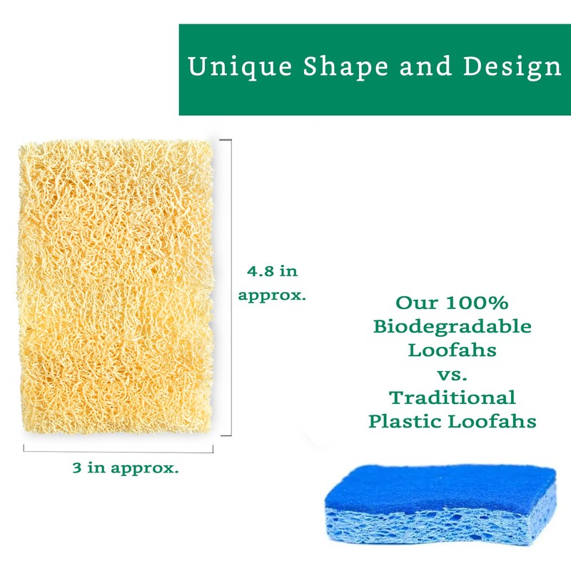 Natural Loofah Kitchen Sponge (XL - 10 Pack) - Natural