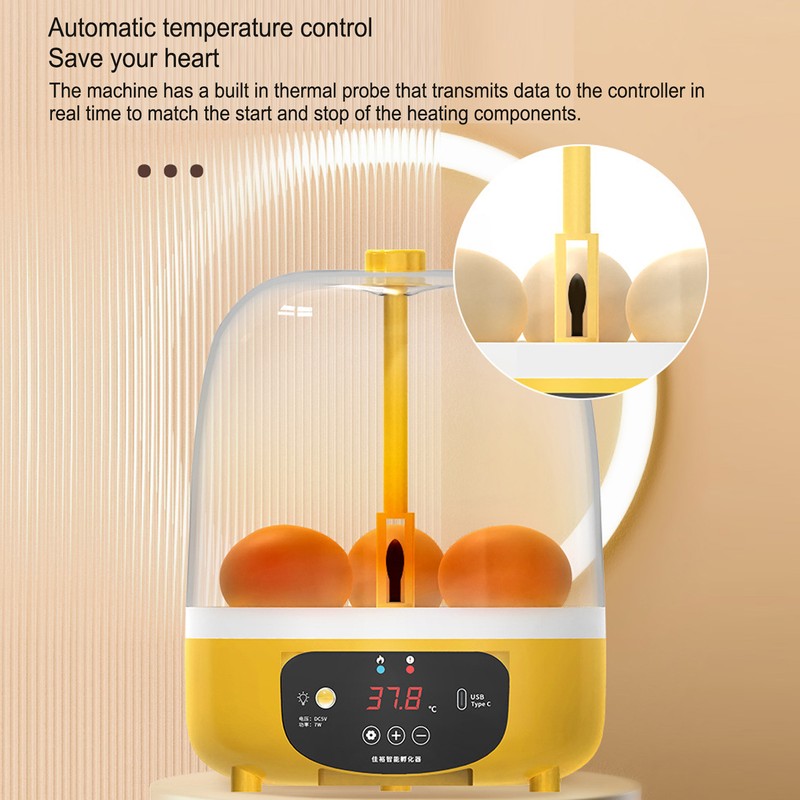 4 Eggs Incubator Temperature Humidity Control Visual Low Noise Energy