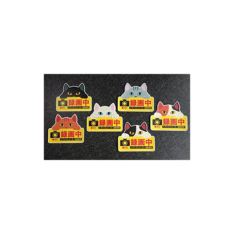 Cute Cat Magnetic Sign Dash Cam Recording Black Cat