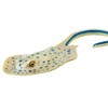 Safari Ltd. Blue Spotted Ray Figurine - Lifelike 6.5" Model
