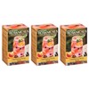 Bigelow Botanicals Cold Water Infusion Blueberry Citrus Basil Tea Bags