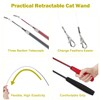 Interactive Cat Toys - Retractable Wand Toy and Feather Toys