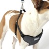 AKC Striped Step-in Dog Harness – No Pull Adjustable Vest