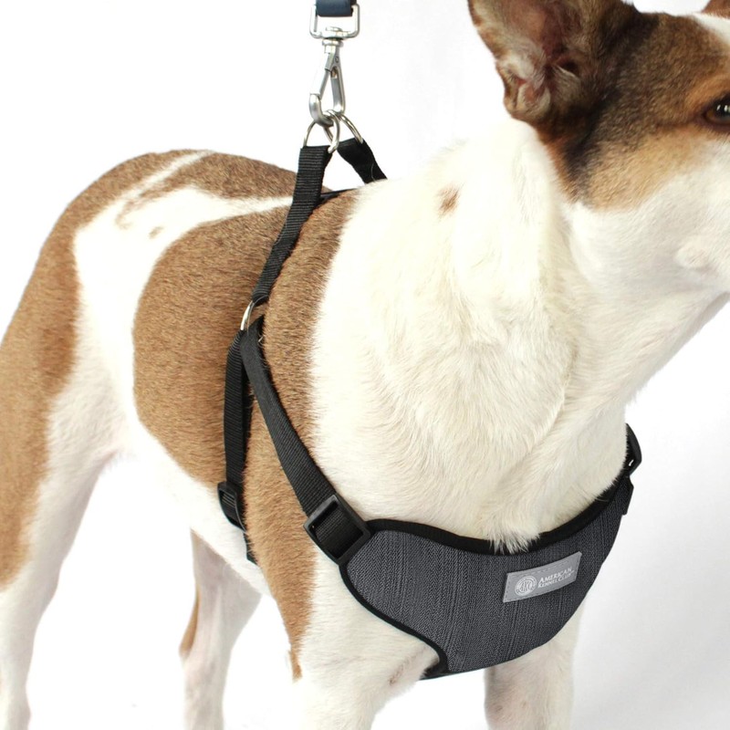 AKC Striped Step-in Dog Harness – No Pull Adjustable Vest