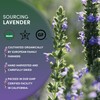 Worldwide Botanicals Organic Lavender Flowers, 4 ounces, Pure European Lavender