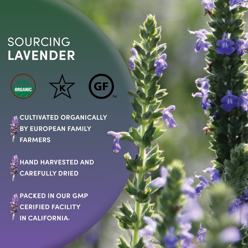 Worldwide Botanicals Organic Lavender Flowers, 4 ounces, Pure European Lavender
