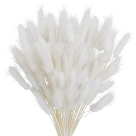 Phliofd 100Pcs Bunny Tails Dried Flowers, Natural Dried Bunny Tails Grass Dried Lagurus Ovatus Rabbit Tail Grass for Flowers Arrangements DIY Craft Wedding Party Home Table Decor (White)