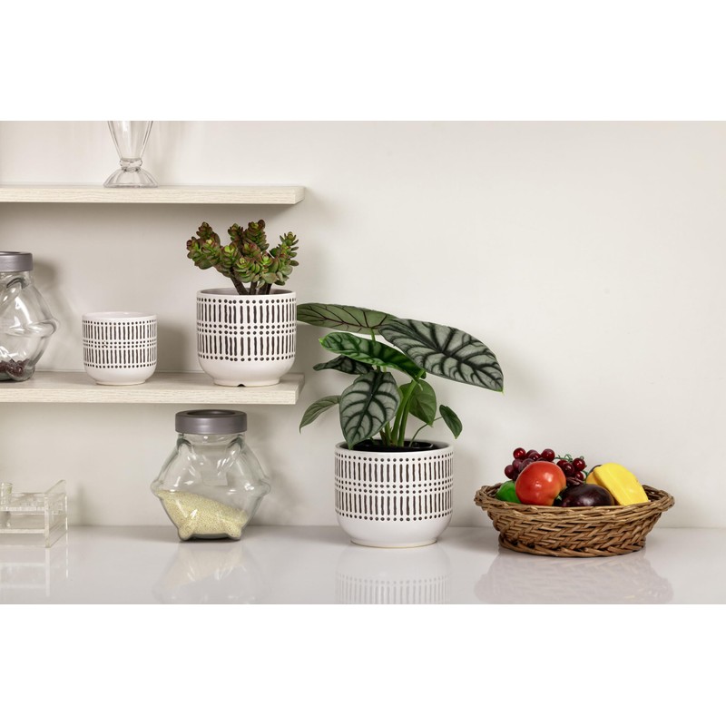 3-Pack Ceramic Plant pots Set - 6.5"+5.3"+4" Dual-Tone Flower Pots